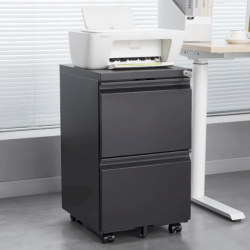 2 Drawer File Cabinet with Lock, Metal Mobile Filing Cabinet