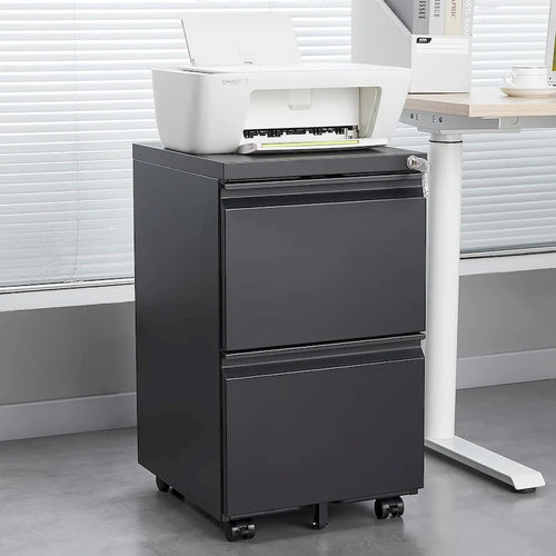 2 Drawer File Cabinet with Lock, Metal Mobile Filing Cabinet
