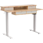 FEZIBO Sturdy Height Adjustable Electric Standing Desk with Drawers, Stand Up Table with Large Storage Shelf, Sit Stand Desk