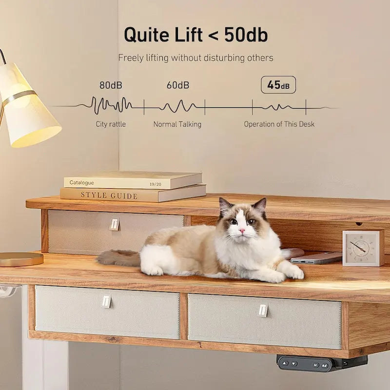 FEZIBO Sturdy Height Adjustable Electric Standing Desk with Drawers, Stand Up Table with Large Storage Shelf, Sit Stand Desk