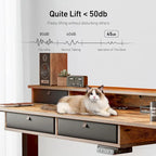 FEZIBO Sturdy Height Adjustable Electric Standing Desk with Drawers, Stand Up Table with Large Storage Shelf, Sit Stand Desk