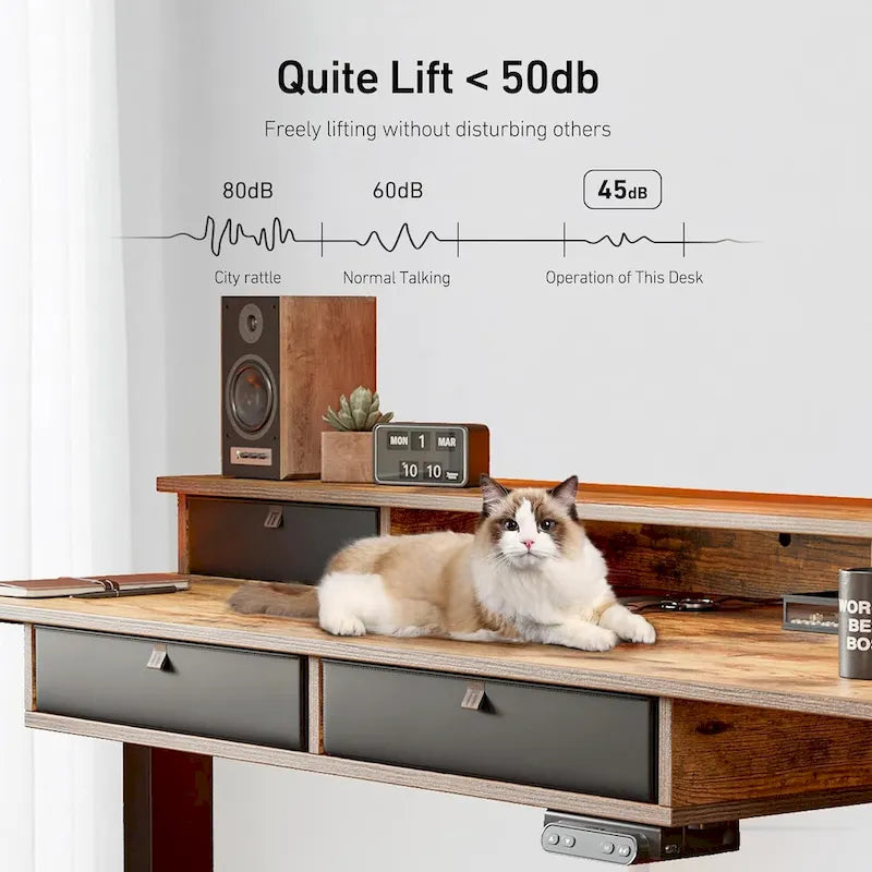 FEZIBO Sturdy Height Adjustable Electric Standing Desk with Drawers, Stand Up Table with Large Storage Shelf, Sit Stand Desk