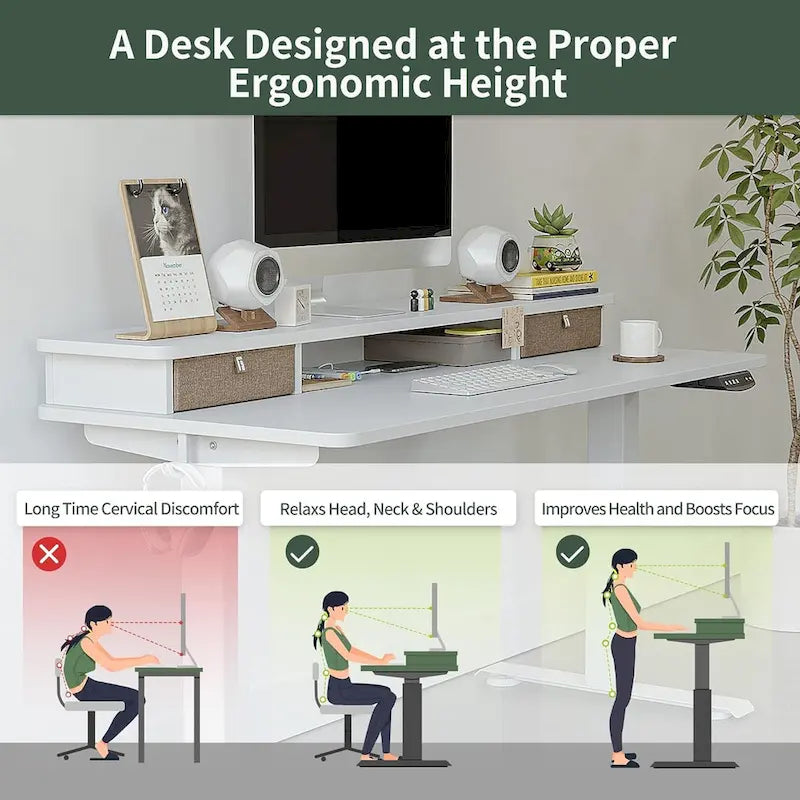 FEZIBO Height Adjustable Electric Standing Desk with Double Drawer, Stand Up Desk with Storage Shelf, Sit Stand Desk
