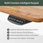 FEZIBO Height Adjustable Electric Standing Desk with Double Drawer, Stand Up Desk with Storage Shelf, Sit Stand Desk