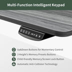 FEZIBO Height Adjustable Electric Standing Desk with Double Drawer, Stand Up Desk with Storage Shelf, Sit Stand Desk