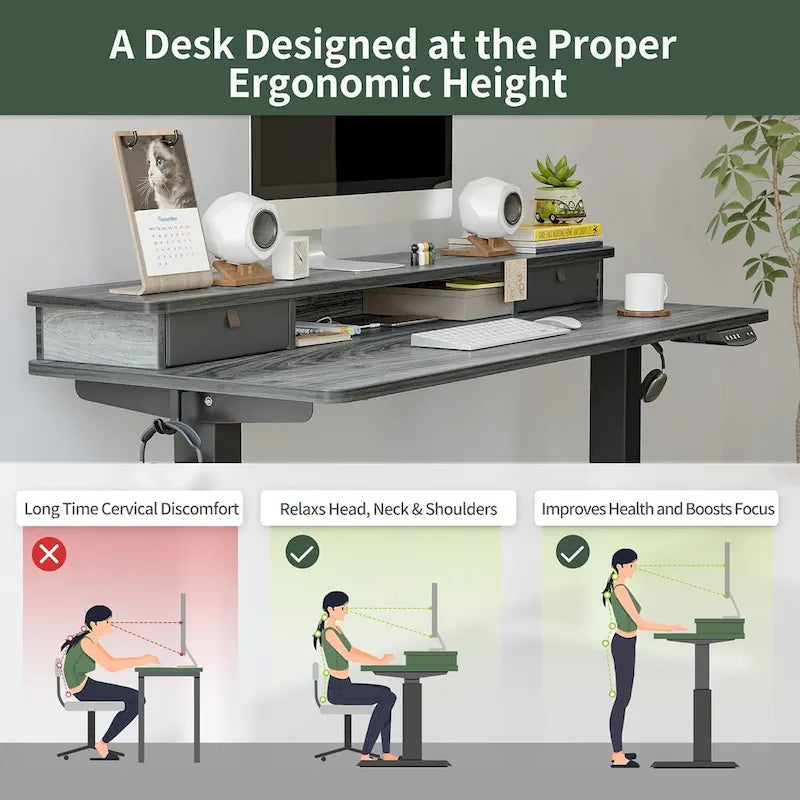 FEZIBO Height Adjustable Electric Standing Desk with Double Drawer, Stand Up Desk with Storage Shelf, Sit Stand Desk