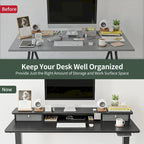 FEZIBO Height Adjustable Electric Standing Desk with Double Drawer, Stand Up Desk with Storage Shelf, Sit Stand Desk