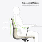 Low Back Genuine Leather Ergonomic Computer Ribbed Office Chair - N/A