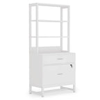 Brown/ Black 4-Tier Tall File Cabinet with Lock, Multi-Functional Shelf Units for Collection,Filing Cabinet Bookshlves