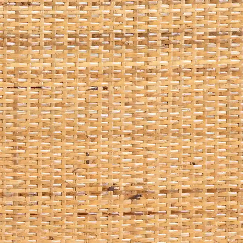 Curacao Modern Bohemian Light Honey Rattan 2-Drawer Bookcase